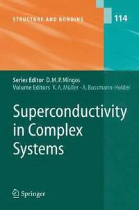 bokomslag Superconductivity in Complex Systems