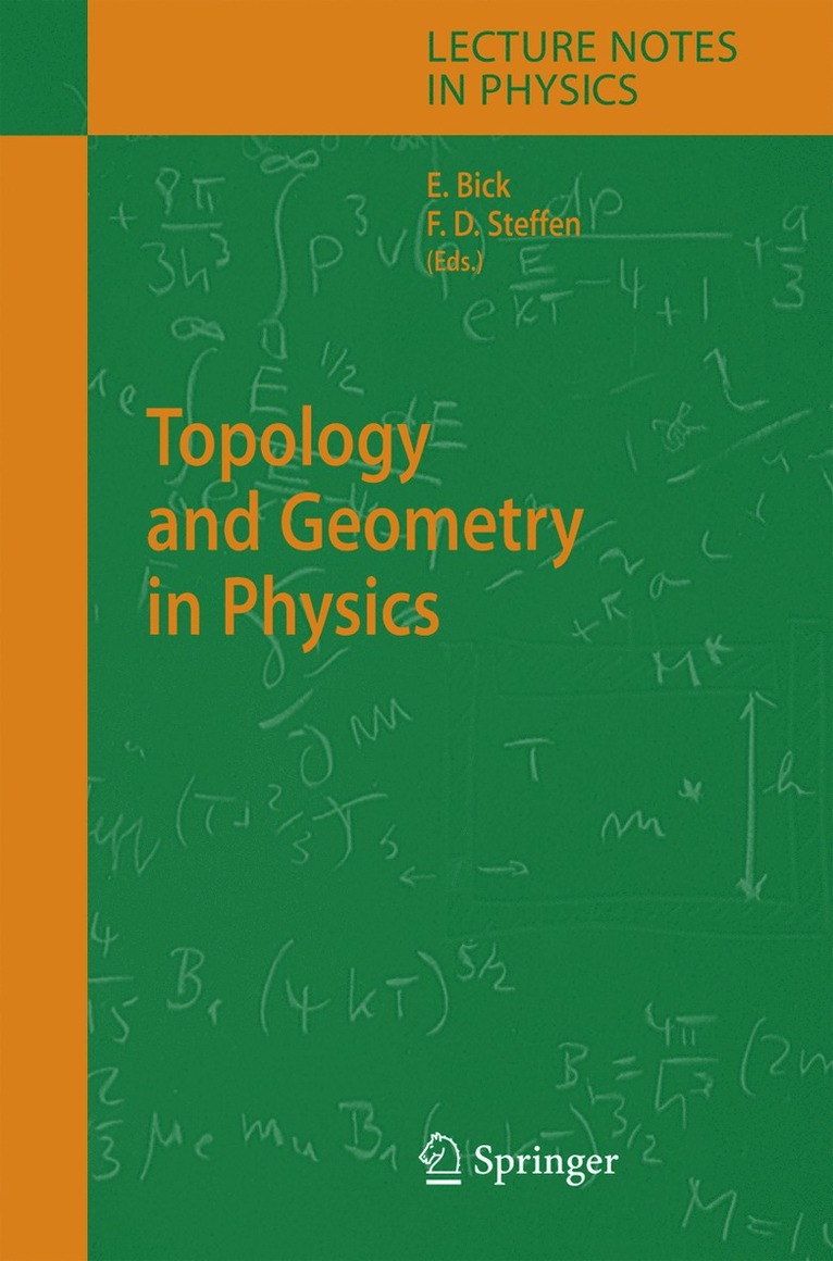 Eike Bick, Frank Daniel Steffen - Topology and Geometry in Physics, Inbunden