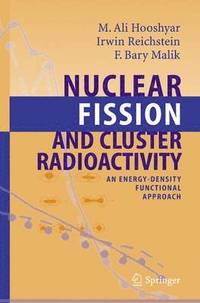bokomslag Nuclear Fission and Cluster Radioactivity