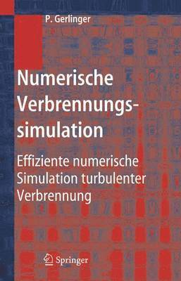 bokomslag Numerische Verbrennungssimulation