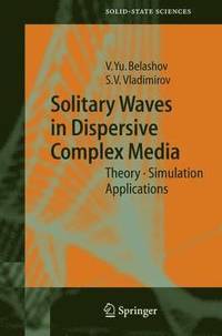 bokomslag Solitary Waves in Dispersive Complex Media