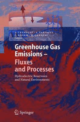 bokomslag Greenhouse Gas Emissions - Fluxes and Processes