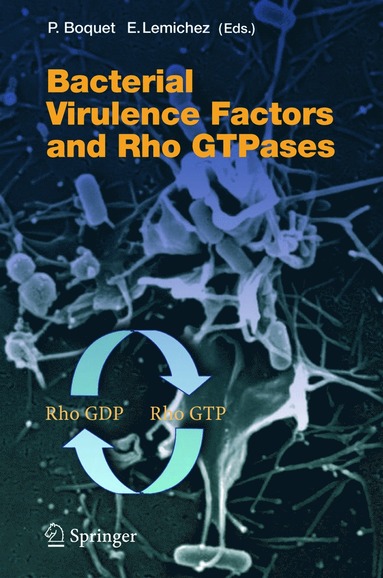 bokomslag Bacterial Virulence Factors and Rho GTPases