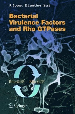 Bacterial Virulence Factors and Rho GTPases 1