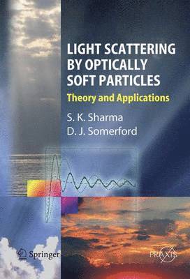 bokomslag Light Scattering by Optically Soft Particles