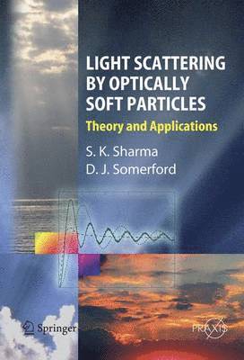 Light Scattering by Optically Soft Particles 1