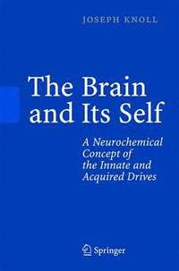 bokomslag Brain and Its Self