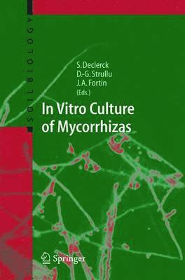 bokomslag In Vitro Culture of Mycorrhizas