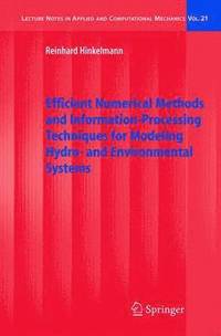 bokomslag Efficient Numerical Methods and Information-Processing Techniques for Modeling Hydro- and Environmental Systems