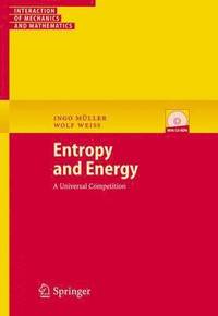 bokomslag Entropy and Energy