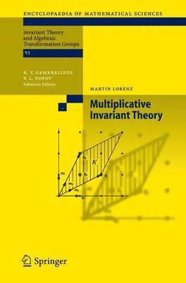 bokomslag Multiplicative Invariant Theory