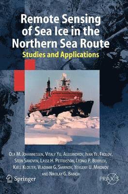 Remote Sensing of Sea Ice in the Northern Sea Route 1