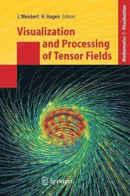 bokomslag Visualization and Processing of Tensor Fields