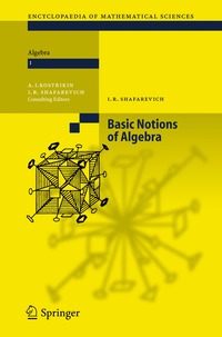 bokomslag Basic Notions of Algebra