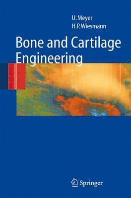Bone and Cartilage Engineering 1