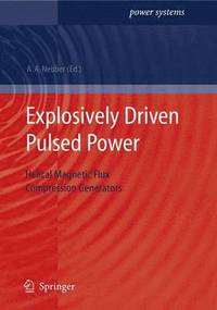 bokomslag Explosively Driven Pulsed Power