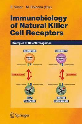 Immunobiology of Natural Killer Cell Receptors 1