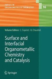 bokomslag Surface and Interfacial Organometallic Chemistry and Catalysis