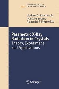 bokomslag Parametric X-Ray Radiation in Crystals