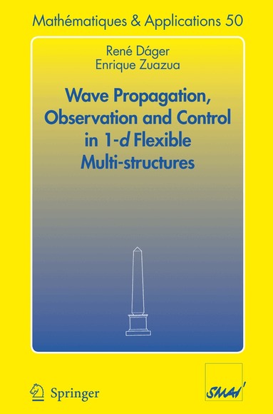 René Dáger, Enrique Zuazua - Wave Propagation, Observation and Control in 1-d Flexible Multi-Structures, Häftad