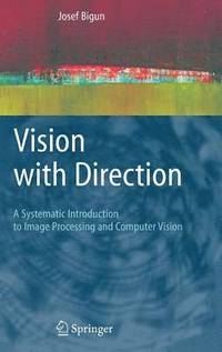 bokomslag Vision with Direction