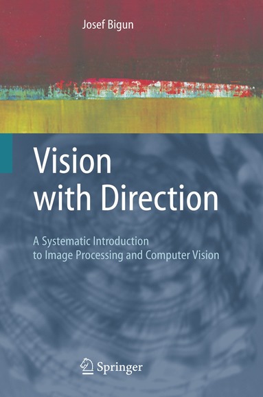 bokomslag Vision with Direction