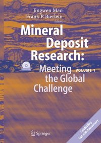 bokomslag Mineral Deposit Research: Meeting the Global Challenge