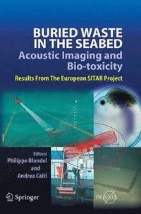 bokomslag Buried Waste in the Seabed  Acoustic Imaging and Bio-toxicity