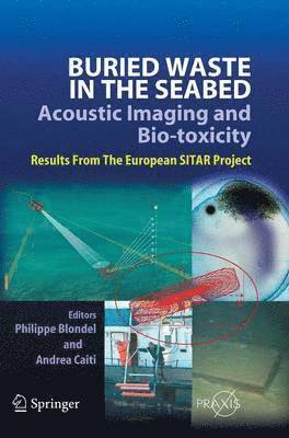 bokomslag Buried Waste in the Seabed  Acoustic Imaging and Bio-toxicity