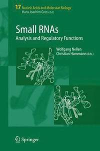 bokomslag Small RNAs: