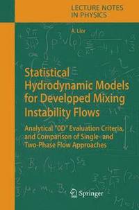 bokomslag Statistical Hydrodynamic Models for Developed Mixing Instability Flows