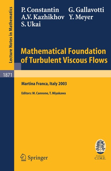 Peter Constantin, Giovanni Gallavotti, Alexandre V. Kazhikhov, Yves Meyer, Seiji Ukai, Marco Cannone, Tetsuro Miyakawa - Mathematical Foundation of Turbulent Viscous Flows, Häftad