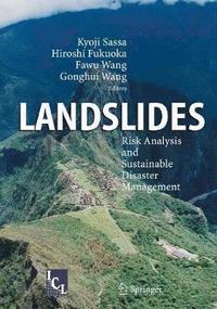 bokomslag Landslides