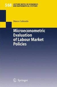bokomslag Microeconometric Evaluation of Labour Market Policies