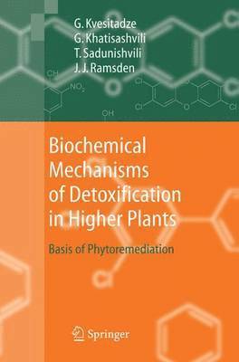 Biochemical Mechanisms of Detoxification in Higher Plants 1
