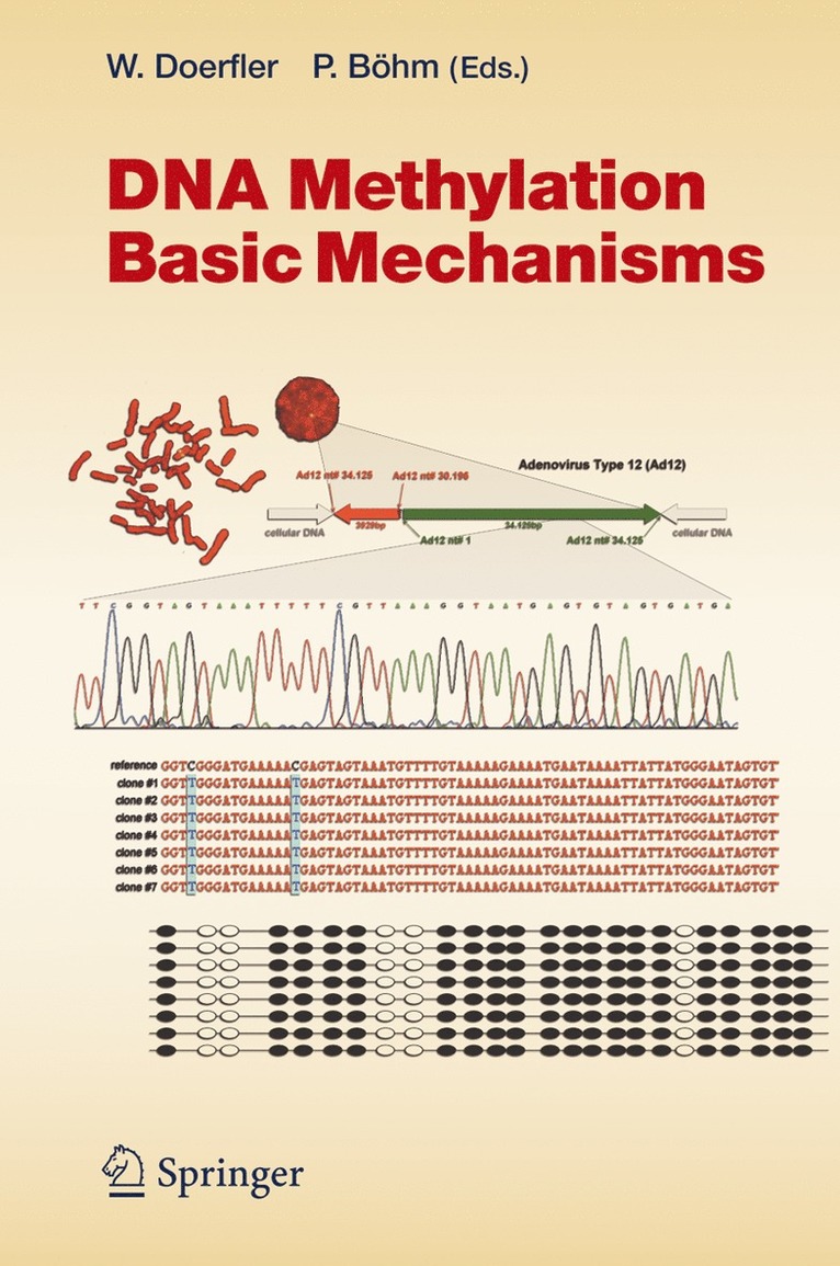 Walter Doerfler, Petra Böhm, P. Bohm - DNA Methylation: Basic Mechanisms, Inbunden