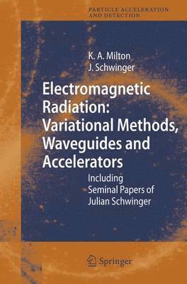 bokomslag Electromagnetic Radiation: Variational Methods, Waveguides and Accelerators