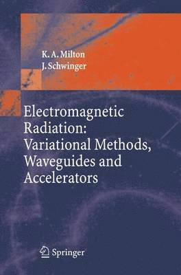 bokomslag Electromagnetic Radiation: Variational Methods, Waveguides and Accelerators