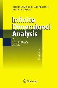 bokomslag Infinite Dimensional Analysis