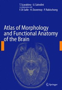 bokomslag Atlas of Morphology and Functional Anatomy of the Brain