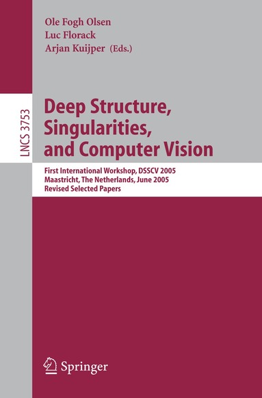 Ole Fogh Olsen, Luc Florack, Arjan Kuijper - Deep Structure, Singularities, and Computer Vision, Häftad
