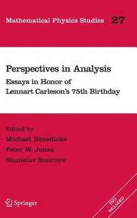 bokomslag Perspectives in Analysis