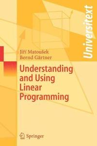 bokomslag Understanding and Using Linear Programming