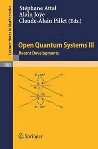 bokomslag Open Quantum Systems III