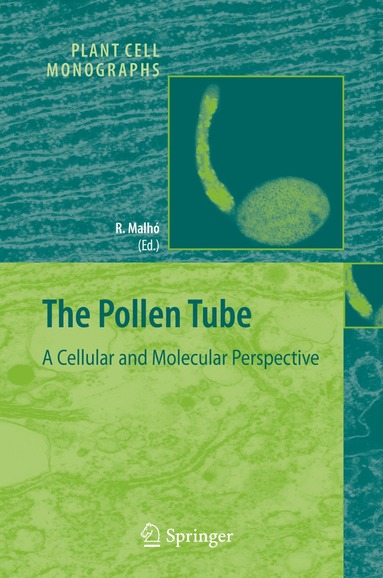 Rui Malhó - Pollen Tube, Inbunden