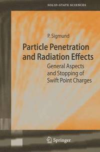 bokomslag Particle Penetration and Radiation Effects