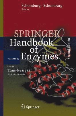 Class 2 Transferases II 1