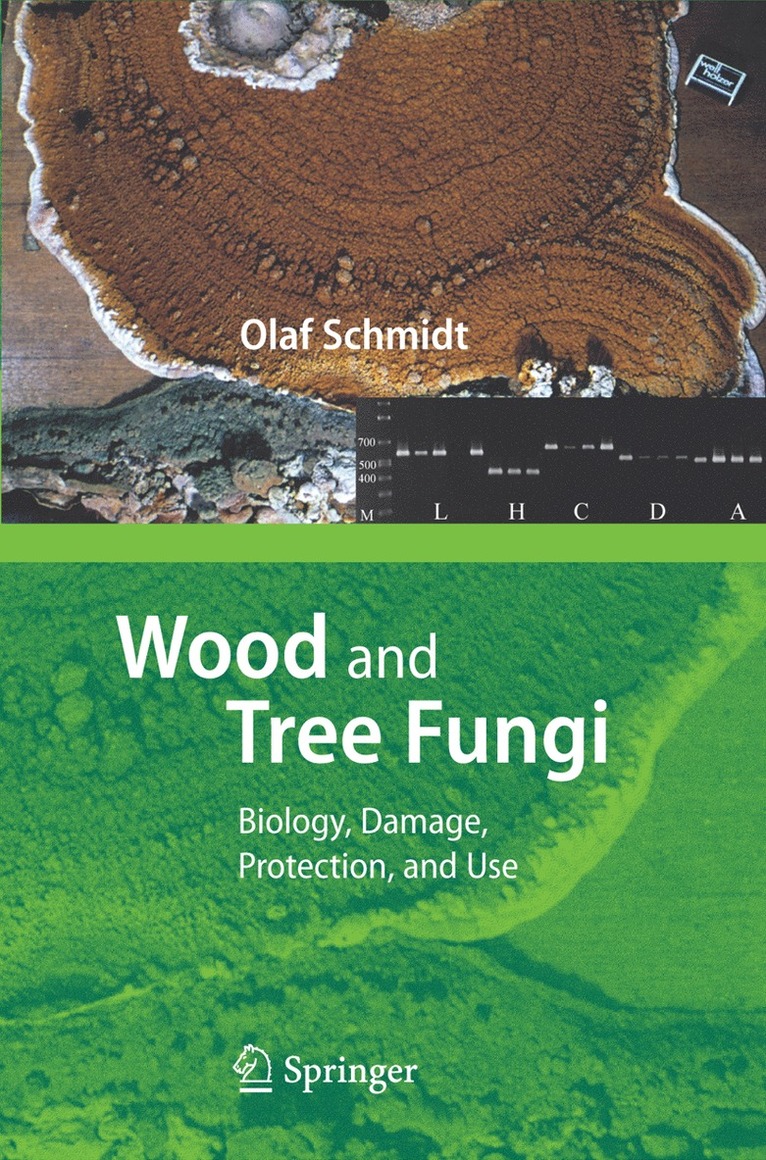 Olaf Schmidt - Wood and Tree Fungi, Inbunden