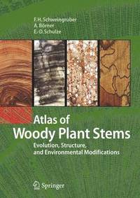 bokomslag Atlas of Woody Plant Stems