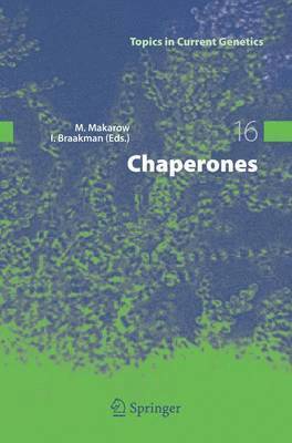 Chaperones 1